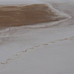 Canning Stock Route 2025