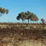 Canning Stock Route 2025