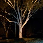 Canning Stock Route 2025