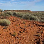 Canning Stock Route 2025