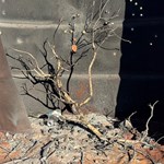 Canning Stock Route 2025