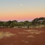 Canning Stock Route 2025