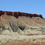 Canning Stock Route 2025