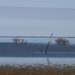 Canning Stock Route 2025