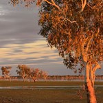 Canning Stock Route 2025