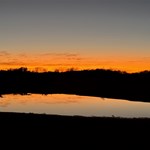 Canning Stock Route 2025