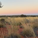 Canning Stock Route 2025