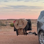 Canning Stock Route 2025