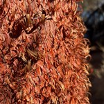 Canning Stock Route 2025