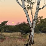 Canning Stock Route 2025