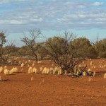 Canning Stock Route 2025