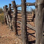 Canning Stock Route 2025