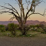 Mount Little Station