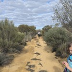 Karalee Rocks to Mt Clara