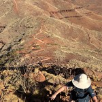 Mount Bruce Summit & Ridge Top