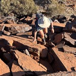 Mount Bruce Summit & Ridge Top