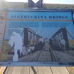 Algebuckina bridge 