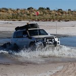 Savoury Creek CSR