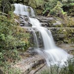 Liffey Falls Hiking
