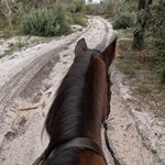 Trail ride with Valerie