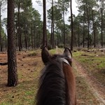 Trail ride with Valerie