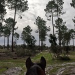 Trail ride with Valerie