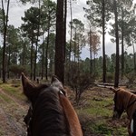 Trail ride with Valerie