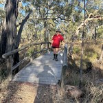 Rosella Plains Hike