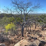 Rosella Plains Hike