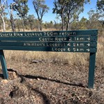 Rosella Plains Hike
