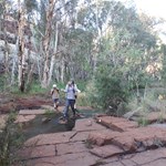 Walking through Dales Gorge from Circular Pool to Fortesque Falls
