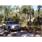 Blackdown Tableland