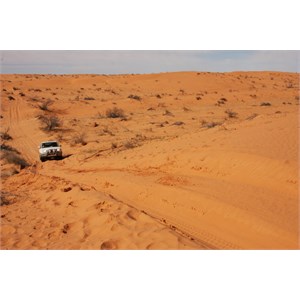 the mighty simpson desert