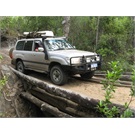 Cypress Creek Log Bridge; Old Telegraph Track