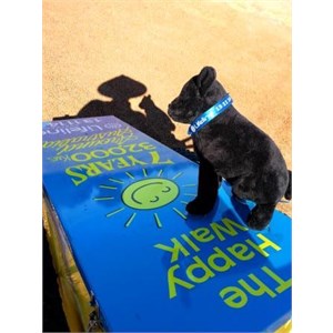 The Happy Walk and Winston