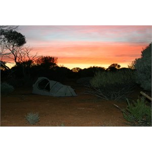 great victoria desert