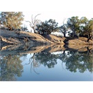 The Darling River upstream of Bourke - not tellin' how to find this place