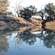 The Darling River upstream of Bourke - not tellin' how to find this place