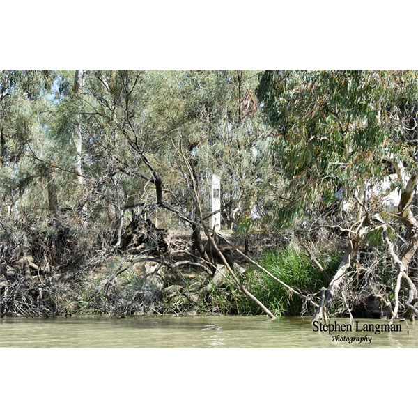 The harder to find MacCabe Corner Marker, camouflaged by River Coober and River Red Gums 